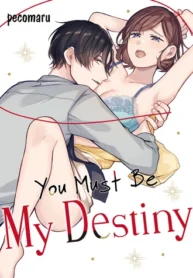 76261