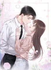 81627
