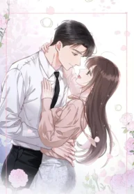 81627